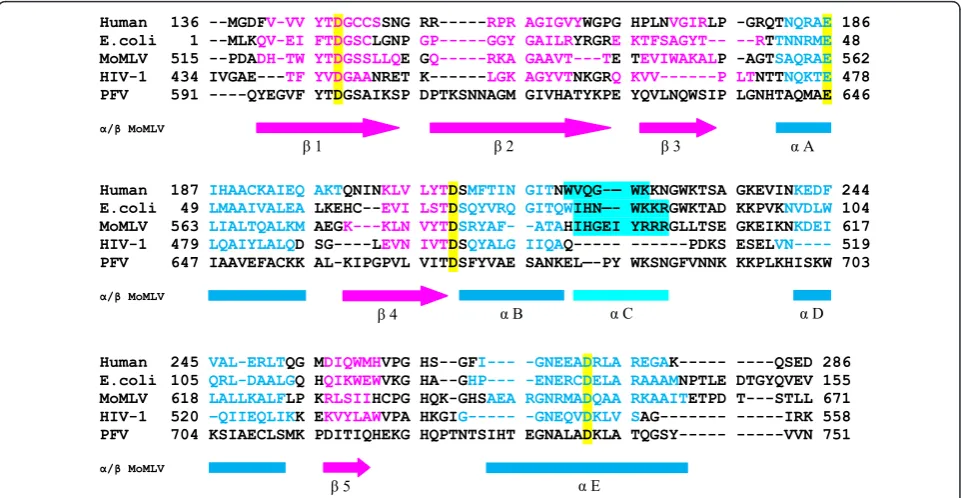 Figure 1 Sequence alignment of different RNase H domainscomparison to the PFV RNase H