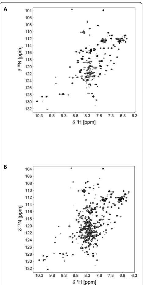Figure 5 Influence of Mgin the absence(Q2+ on the structure of PFV RNase H-591-N751). 1H-15N-HSQC spectra of 45 μM PFV RNase H-(Q591-N751)were recorded at 298 K with a Bruker DRX 700 MHz spectrometer in50 mM Na-phosphate pH 6.8, 100 mM NaCl, 0.5 mM DTT, 10% D2O (A) or presence (B) of 6 mM MgCl2.