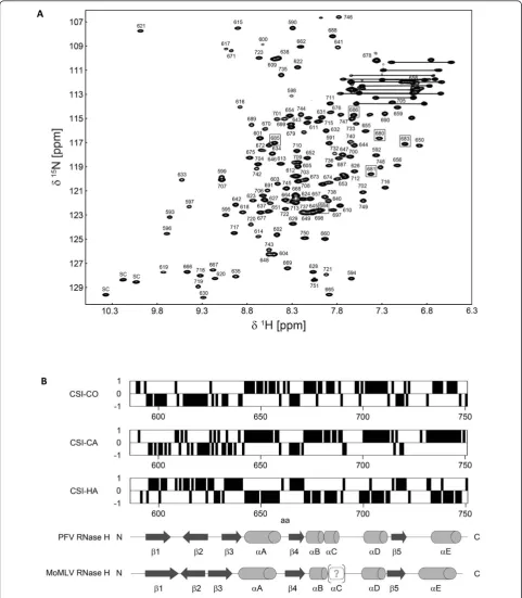 Figure 6 NMR backbone assignmentacid positions of the corresponding residues in the full length PFV PR-RT