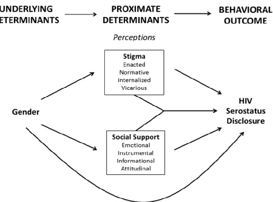 Figure 1. Proximate-determinants framework demonstrating the relationship between gender and HIV  serostatus disclosure via perceptions in HIV-related stigma and social support 