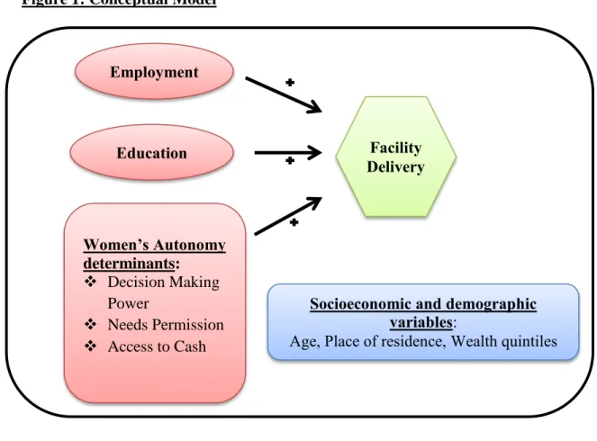 Figure 1: Conceptual Model 