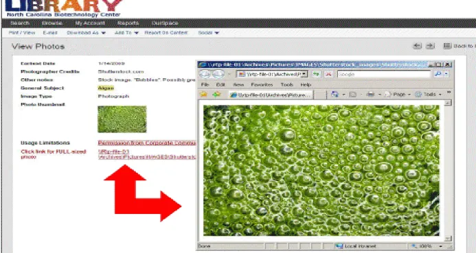 Figure 4: Active Hyperlink in Image Record 