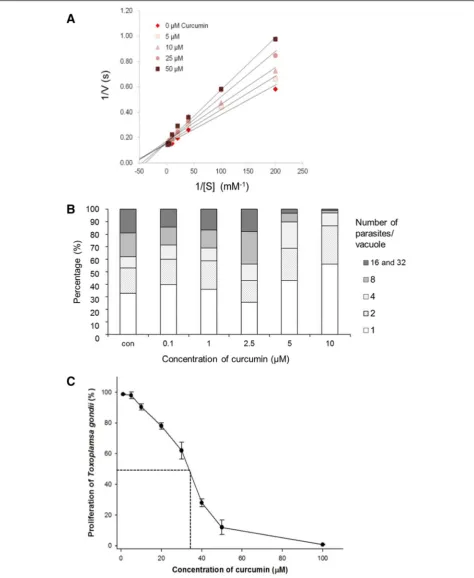 Fig. 3 Inhibition of TgGlo1 enzymatic activity and parasite growth of T. gondii by curcumin