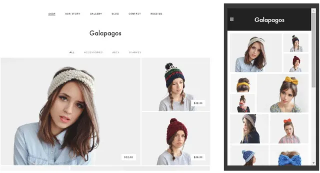 Figure 21: "Galapagos", a minimalist e-commerce theme sold by Squarespace  http://www.squarespace.com/templates/?q=galapagos