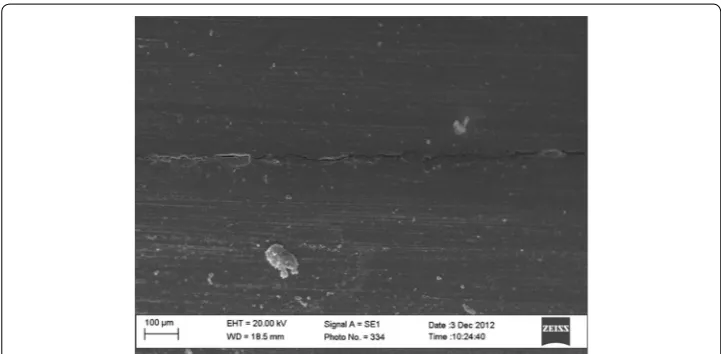 Fig. 3 Micrograph SEM of a cross-section from group with flowable composite resin (FL) with adhesive