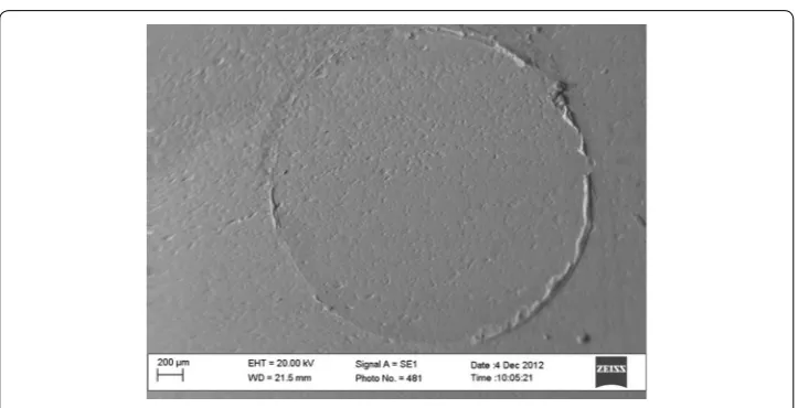 Fig. 5 Adhesive failure mode with clean ceramic surface
