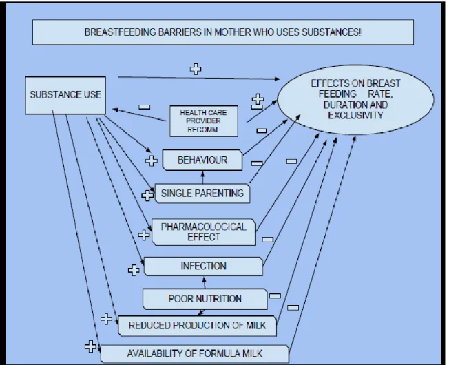 Fig- 2: Breastfeed barriers in mothers who use substances.