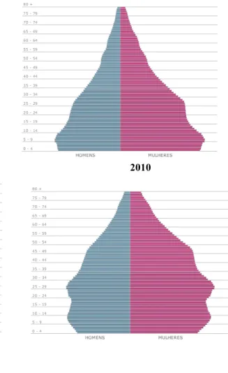 Figure 3. Population Pyramid Projection by Age Group, Brazil 1980-2020 