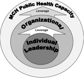 Figure 1: The progressive and concentric MCH PHLI conceptual model for leadership  development 