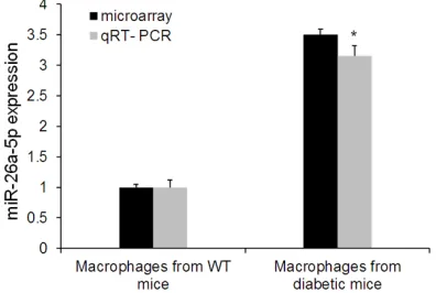 Figure 1. MiR-26a-5p expression in macrophages from wild type (WT) and diabetic mice. Liver mac-rophages were isolated from WT and diabetic mice