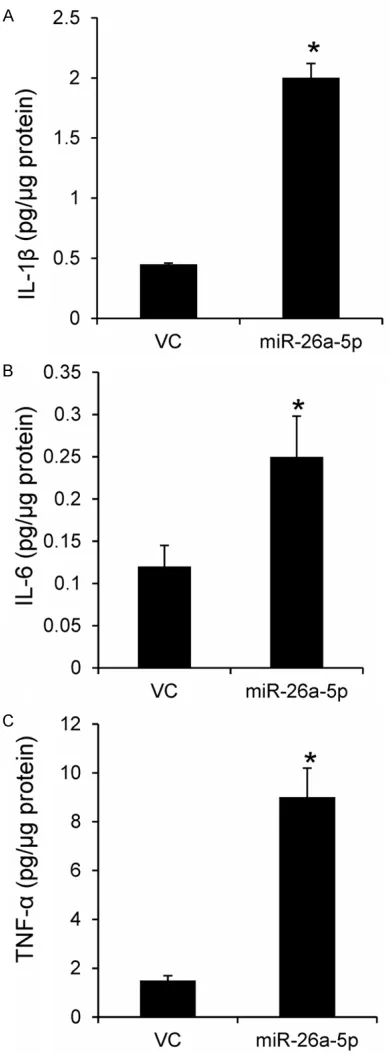 Figure 4. MiR-26a-5p overexpression up-regulated IL-1β, IL-6 and TNF-α mRNA levels in macrophages isolated from WT mice