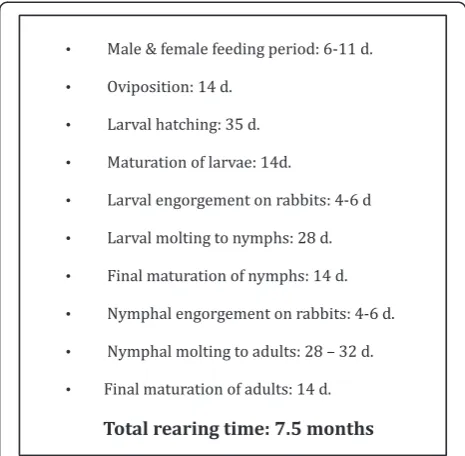 Fig. 1 Time sequence for rearing I. scapularis in the laboratory