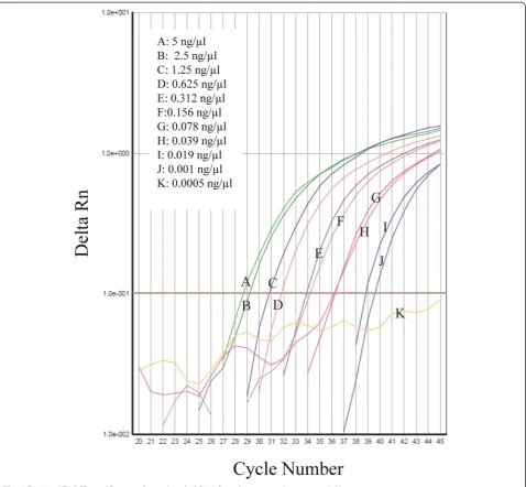 Fig. 3 TaqMan RT qPCR amplification of mitochondrial DNA from Sarcoptes scabiei at several dilutions