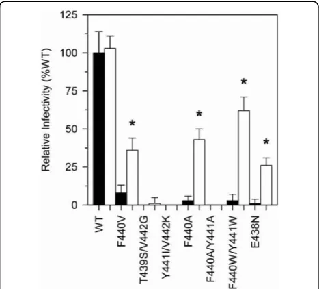 Table 1 Replication capacity of HIV-1 with mutations in the p51↓RNH cleavage site ± T477A