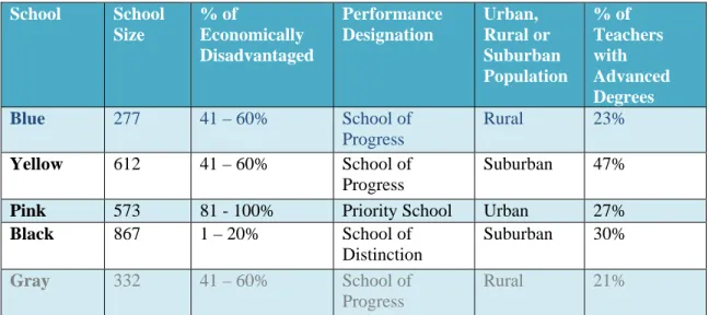 Table 4: Comparison of Blue School with the Random Sampled Schools and the Controlled Sample in 2008-2009  School Year 