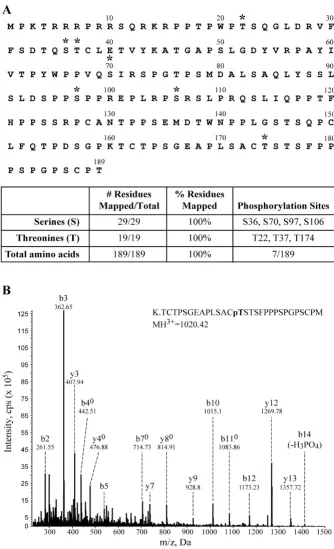Figure 3Mapping Rex-1 phosphorylation sites by mass spectrometrytide, which identified phosphorylation at Thr-174 is shown