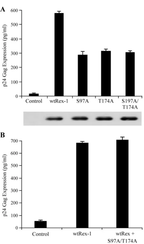 Figure 5mutantsplasmid. Cell lysates were prepared 24 hours post-transfec-tion and p24 Gag levels were determined by HIV-1 p24 Gag ELISA
