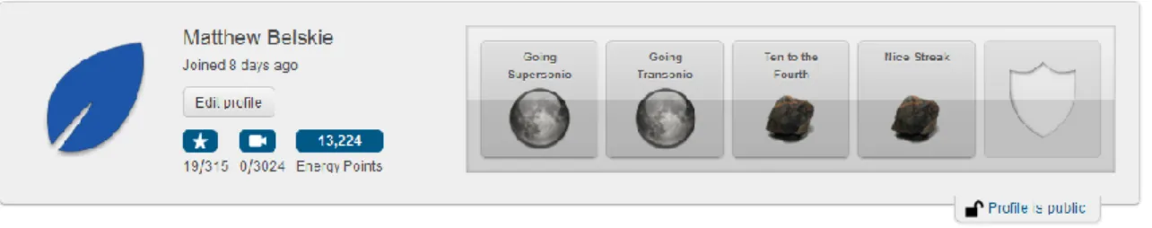 Figure 4: User profile with blue leaf avatar and custom badge display 