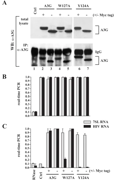 Figure 4 (see legend on next page)
