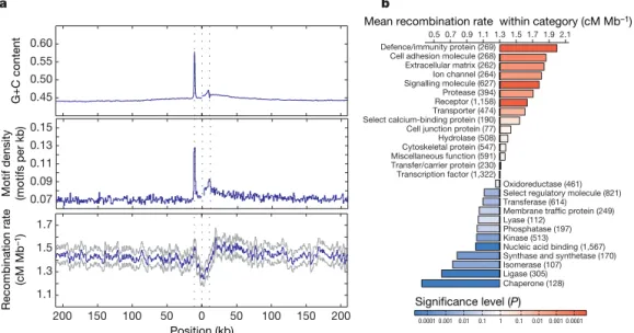 Figure 5 | Recombination rates around genes. a , The recombination rate, density of recombination-hotspot-associated motifs (all motifs with up to 1 bp different from the consensus CCTCCCTNNCCAC) and G1C content around genes