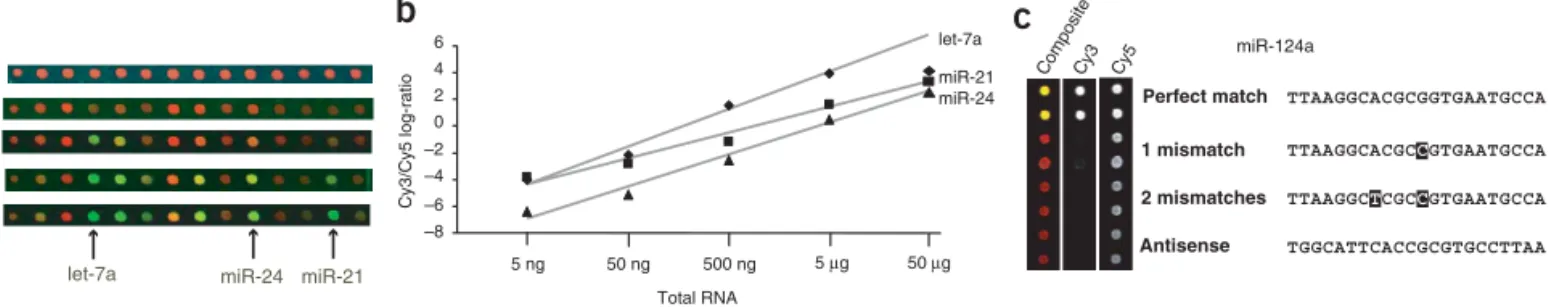Figure 2 | Sensitivity and specificity of microRNA microarrays. (a) Total RNA from mouse kidney was labeled with Cy3 with the indicated amounts of starting material