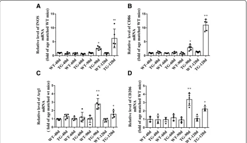 Fig. 7 The mRNA levels of M1/M2 microglial markers in the TG mice at different time points