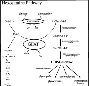 FIGURE 1.4 T h e 