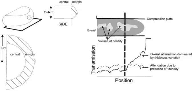 Figure 9. Effect of varied thickness of compressed breast tissue. Schematics of the compressed breast show that it consists of two regions: a central region of approximately uniform thickness and a margin where thickness varies