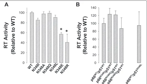 Figure 2 DNA polymerase activity of recombinant purified HIV-1 RT that contained mutations at residue N348 in both subunits (A), or