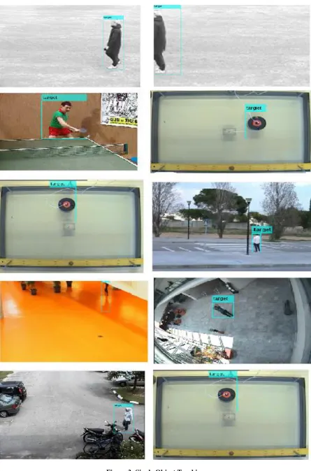 Figure 3: Single Object Tracking 