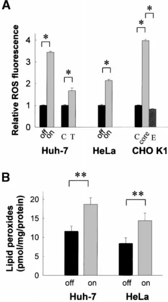 Figure 2. HCV core protein expression increases cellular ROS levels.