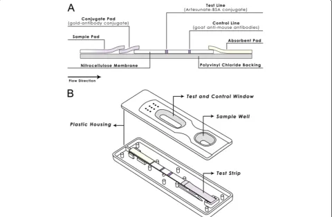 Figure 1 Assembly of colloidal gold-based dipstick (A) and plastic housing (B) where a dipstick is mounted.