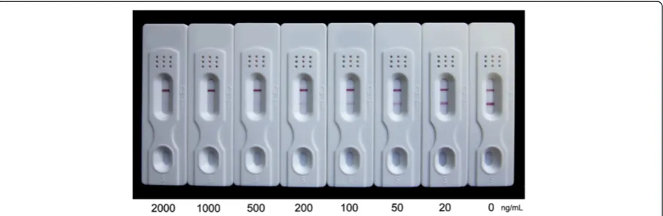 Figure 5 Dipsticks showing colour changes corresponding to concentrations of ATS in distilled water