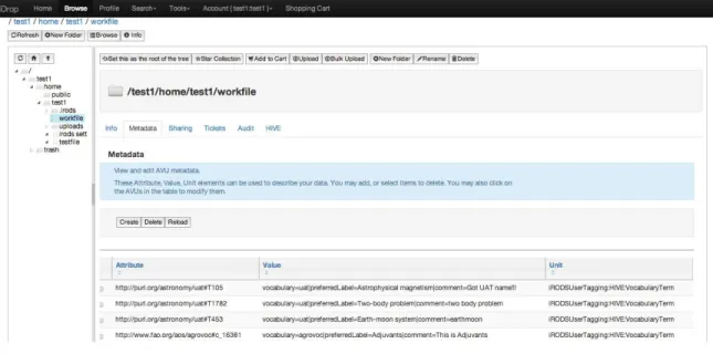 Figure 5 Attribute-Value-Unite (AVU) metadata in iRODS/HIVE integration