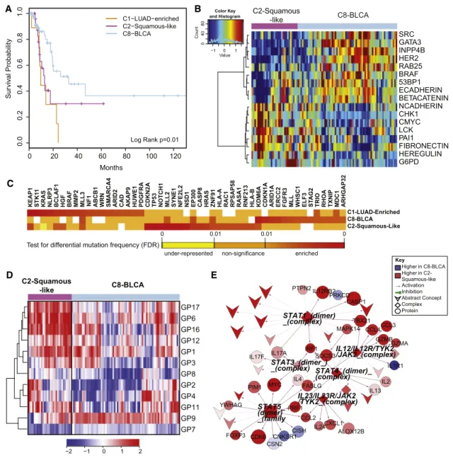 Figure 6. Divergence of the Bladder Cancer Samples across Multiple COCA Subtypes