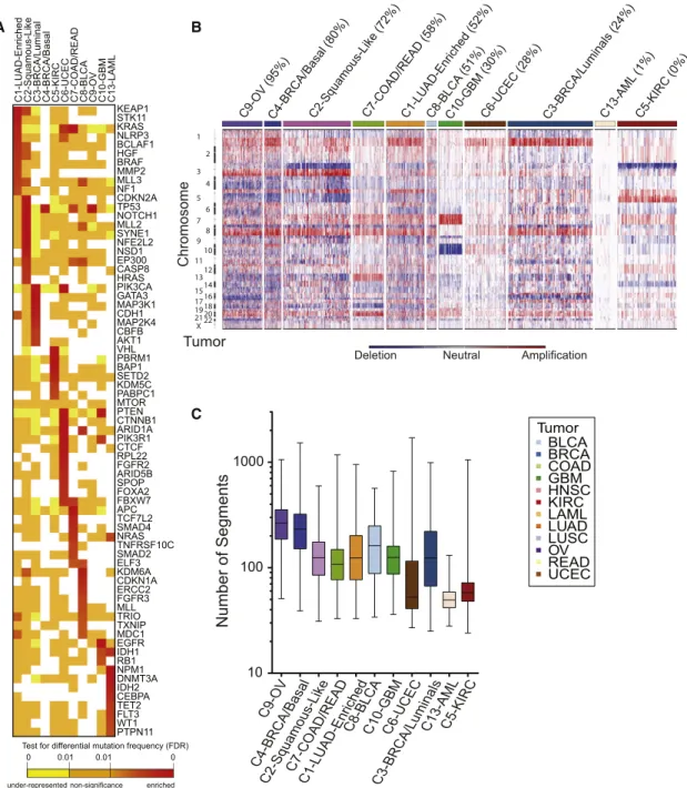 Figure 2. Genomic Determinants of the Integrative COCA Subtypes