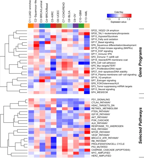 Figure 3. Subtype-Specific Patterns of Gene-Program and Selected Pathway  Ex-pression Characterizing Each  Pan-Cancer-12 COCA Subtype
