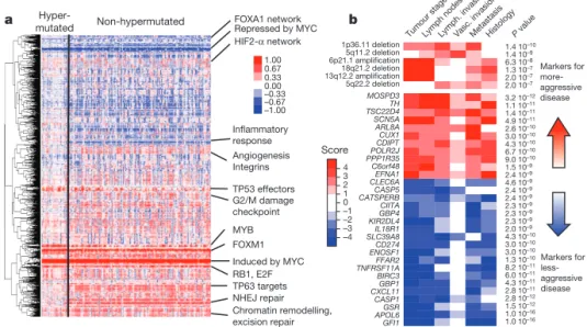 Figure 5 | Integrative analyses of multiple data sets. a, Clustering of genes and pathways affected in colon and rectum tumours deduced by PARADIGM analysis