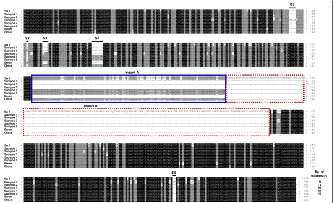 Figure 1 Sequence polymorphism of the PvMSP-3β in Korean Plasmodium vivax isolates. Sequence analysis of 95 P