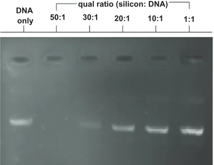 Figure 3. We observed that Lipofectamine 2000 was much 