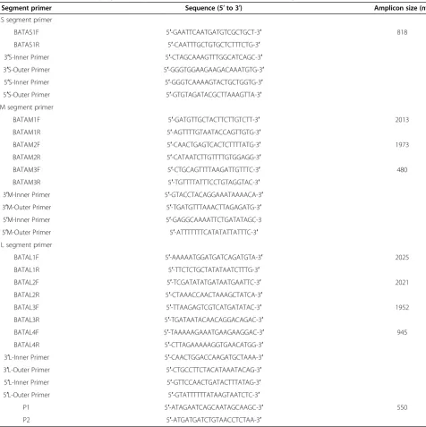 Table 1 Primers used to amplify and sequence the complete BATV S, M, and L segments