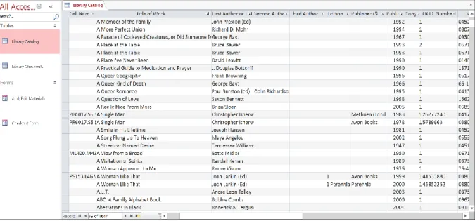 Figure 2: Screenshot of records being corrected in the Access database catalog. 