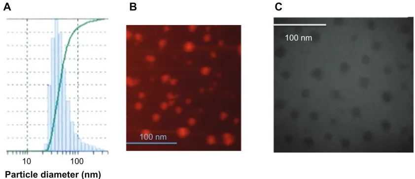 Figure 2 Estimation of the diameter of the AD-32 containing rHDL nanoparticles by (microscopy.Abbreviations:A) dynamic light scattering, (B) atomic force microscopy, and (C) transmission electron  AD-32, valrubicin; rHDL, reconstituted high-density lipoprotein.