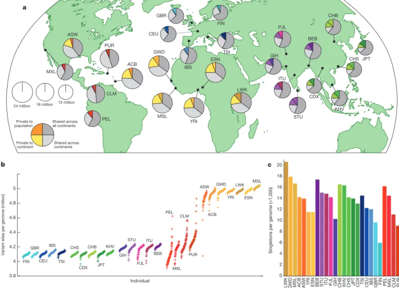 Figure 1 | Population sampling. a, Polymorphic variants within sampled populations. The area of each pie is proportional to the number of  poly-morphisms within a population