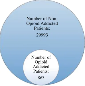 Fig 3: Spread of opioid addicted and non-opioid addicted patients in the master dataset