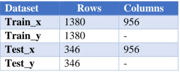 Table 1: Train and Test Datasets 