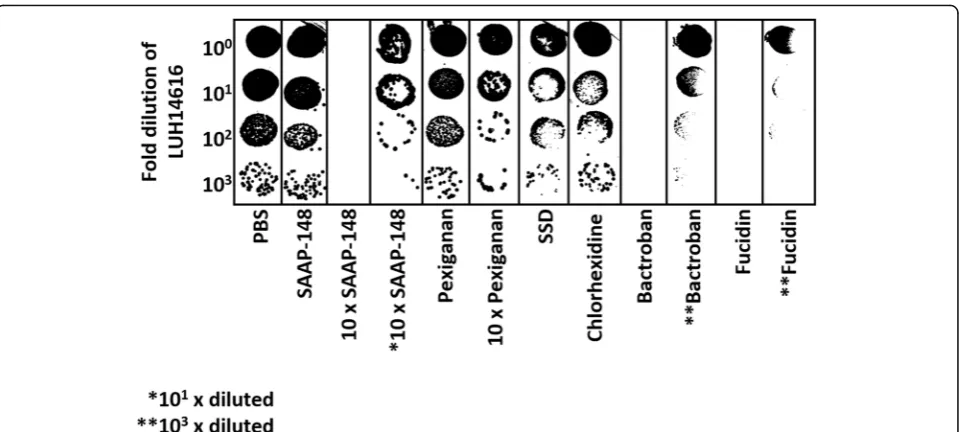 Fig. 3 Effect of SPS on the antimicrobial activity of various antimicrobial agents. Mixtures of 10chlorhexidine (0.5% v/v in 70% alcohol) or PBS and 400Ninety μL of SAAP-148 (1% wt/v), pexiganan (1% wt/v), μL of PBS, 0.05, 0.1, 0.5% or 1% (wt/v; final conc