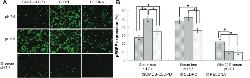 Figure 12 Cell viabilities of o-carboxymethyl-chitosan cationic liposome-coated deoxyribonucleic acid/protamine/deoxyribonucleic acid complexes with different deviation, n Note: Abbreviations: concentrations and the corresponding cationic liposome-coated d