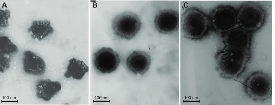 Table 1 Particle size and zeta potential of cationic liposome-coated deoxyribonucleic acid/protamine/deoxyribonucleic acid complexes prepared with different mass ratios