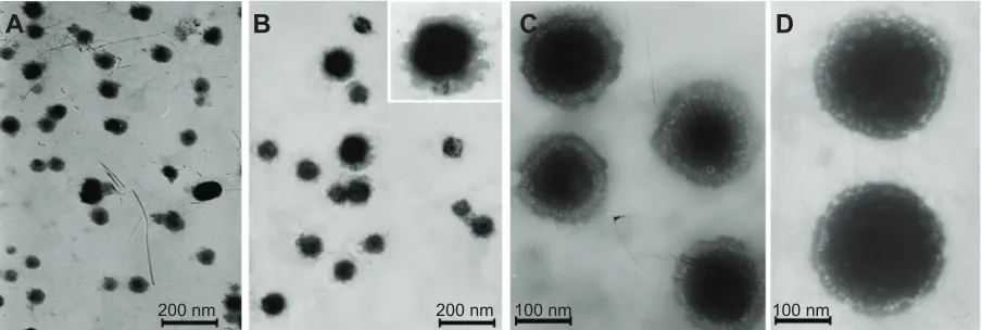 Table 2 The particle size and zeta potential of different nanoparticles